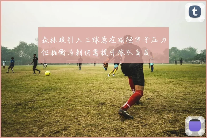 森林狼引入三球意在减轻华子压力但抗衡马刺仍需提升球队高度